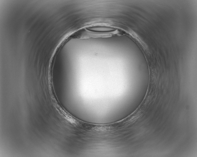 X0000056021240200509092130