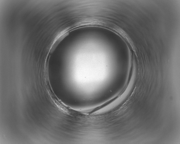 X0000056021242200509092130