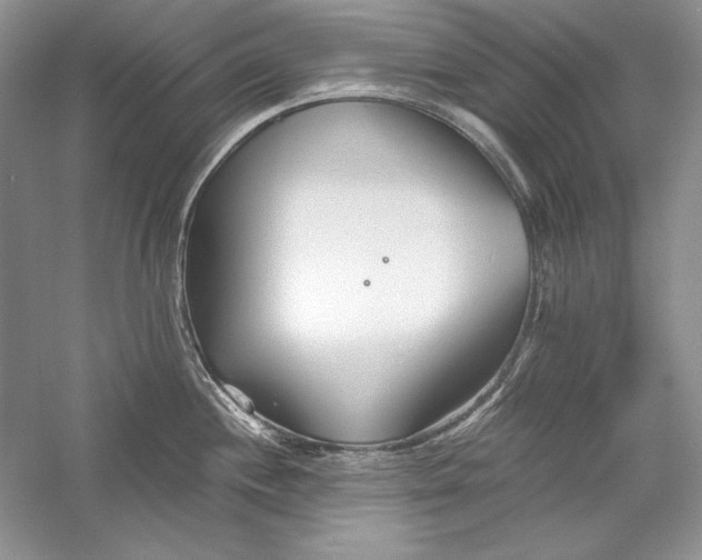 X0000056021244200509092131