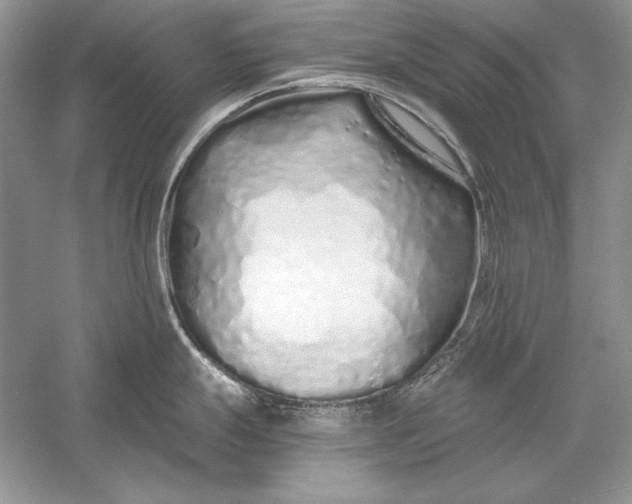 X0000056021247200509092131