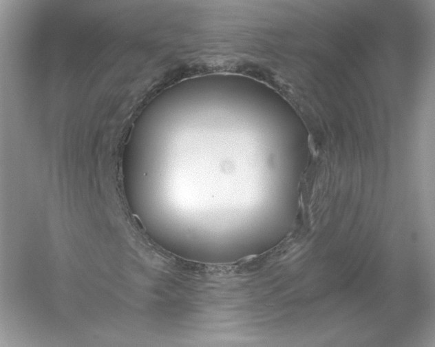 X0000056021249200509092130
