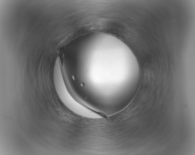 X0000056021250200509092130