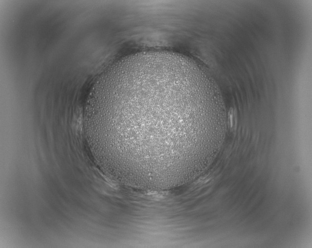 X0000056021251200509092130