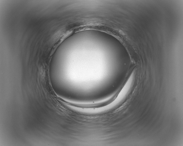 X0000056021257200509092130