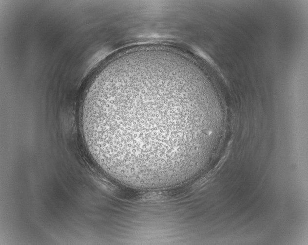 X0000056021259200509092130