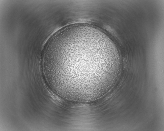 X0000056021260200509092130