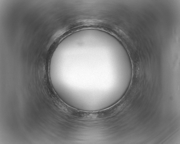 X0000056021261200509092130