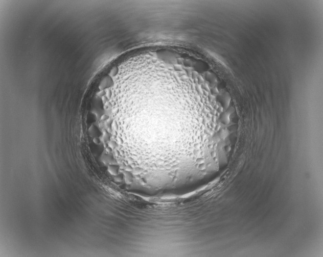 X0000056021267200509092129