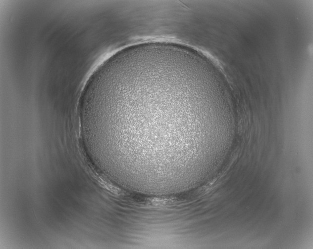 X0000056021271200509092129