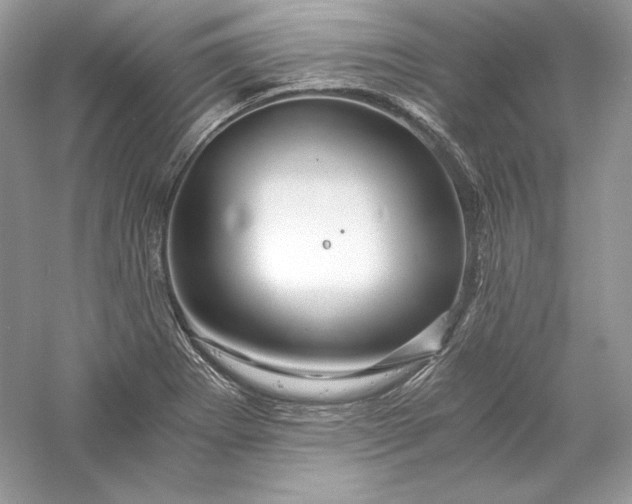 X0000056021273200509092129