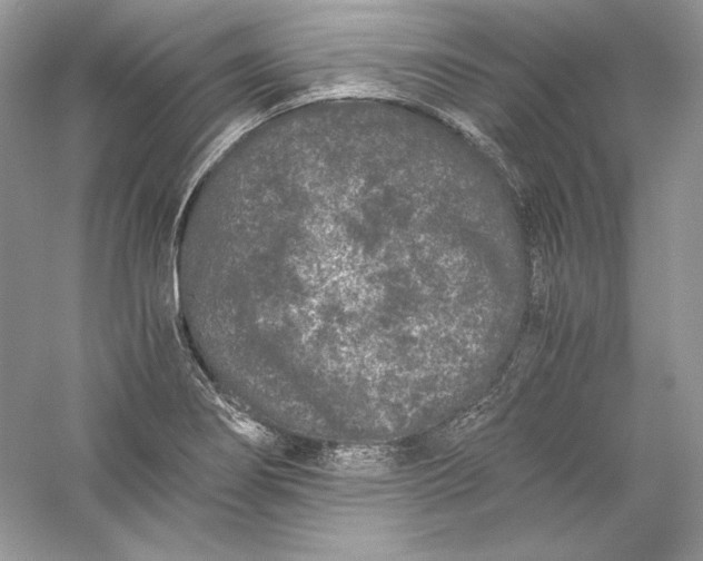 X0000056021274200509092129