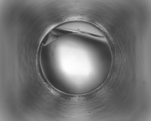 X0000056021277200509092129