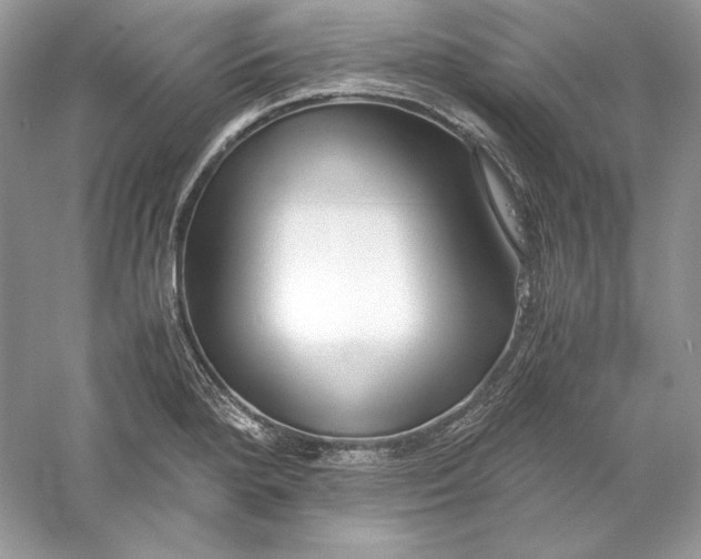 X0000056021280200509092129