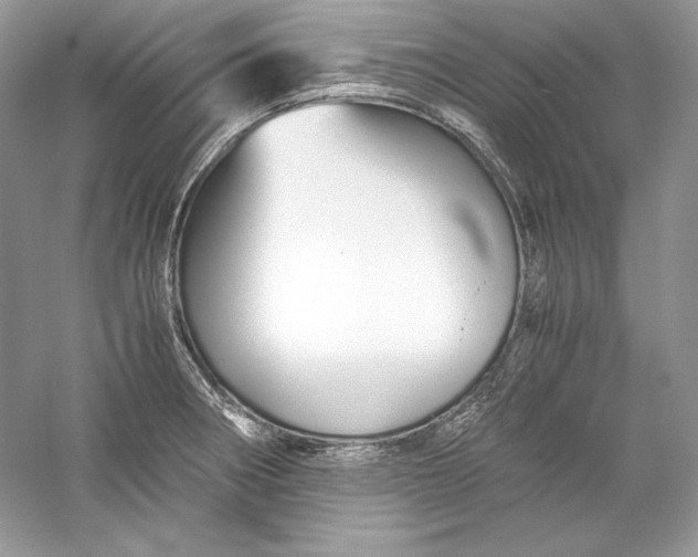X0000056021282200509092129