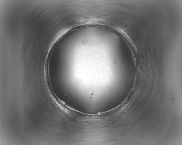 X0000056021285200509092129