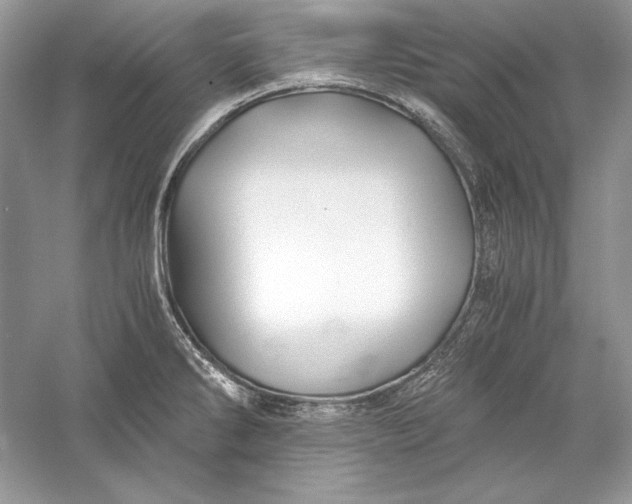 X0000056021286200509092129