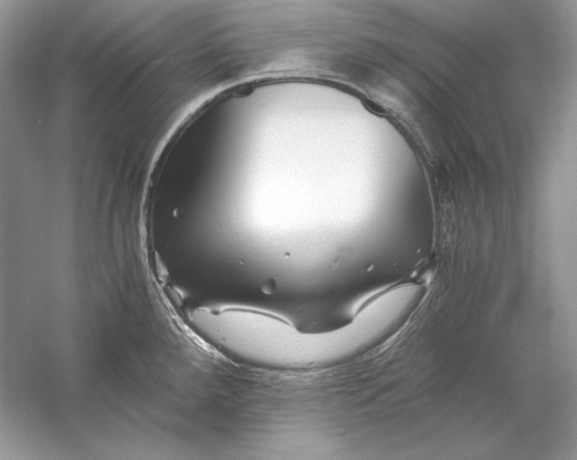 X0000056021288200509092129