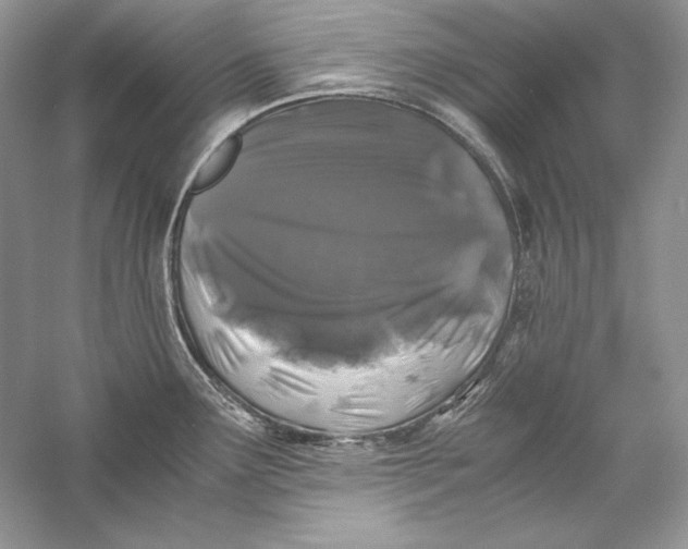 X0000056021291200509092129