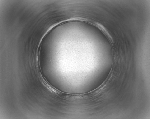 X0000056021292200509092129