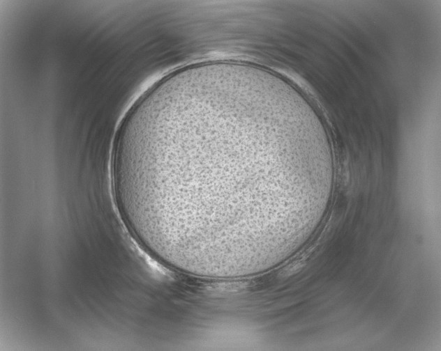 X0000056021294200509092129