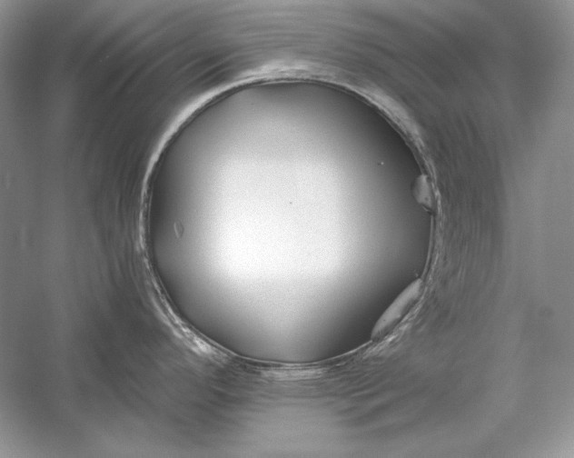 X0000056021296200509092129