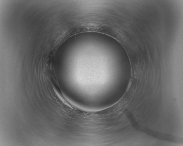 X0000056021298200509092128