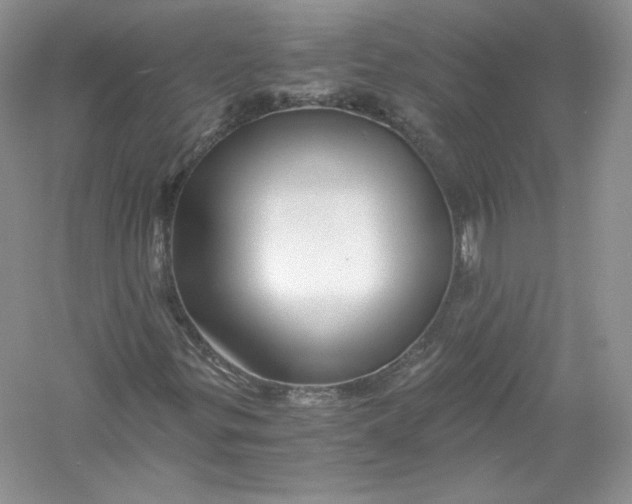 X0000056021299200509092128