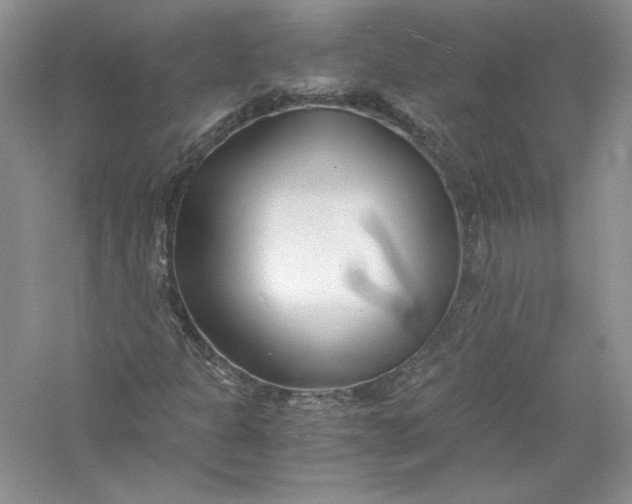 X0000056021301200509092128