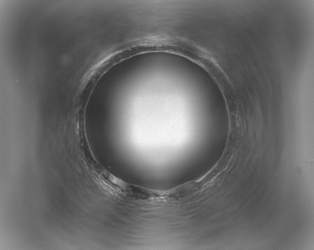 X0000056021304200509092128