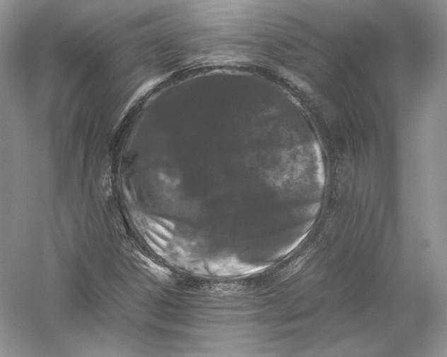 X0000056021306200509092128