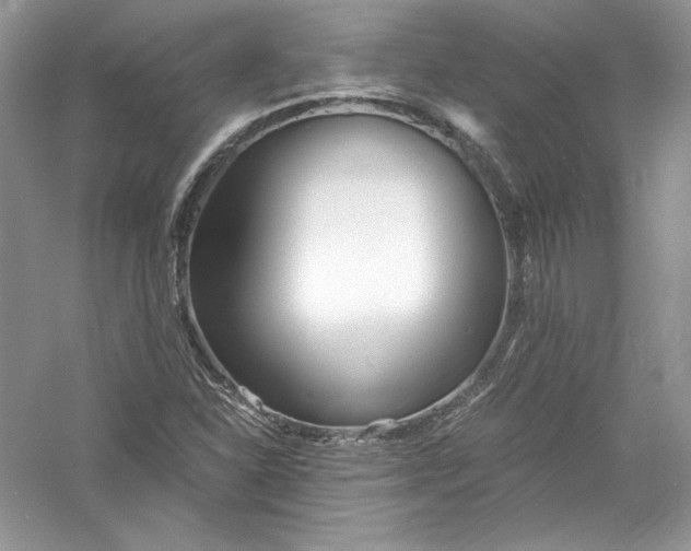 X0000056021310200509092128