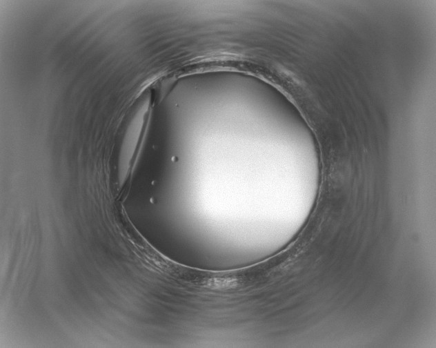 X0000056021313200509092128