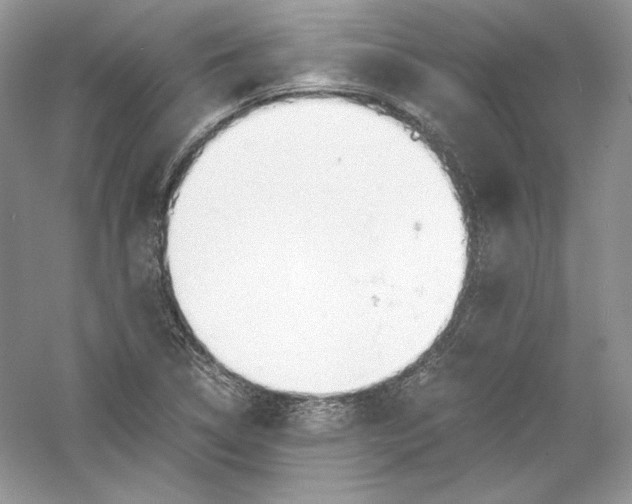 X0000056021314200509092128