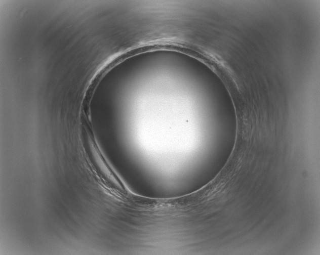 X0000056021316200509092128