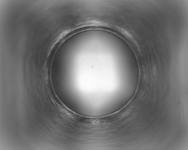 X0000056021318200509092128