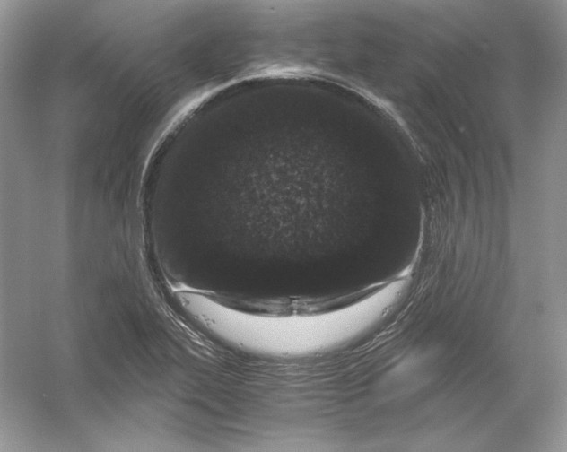 X0000056021319200509092129