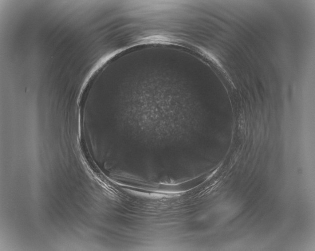 X0000056021323200509092129
