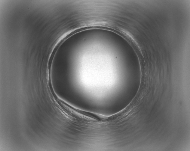 X0000056021324200509092129