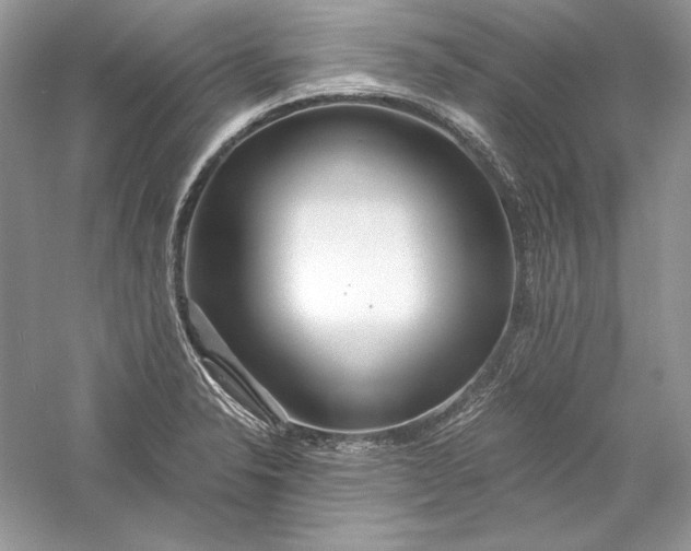 X0000056021326200509092129