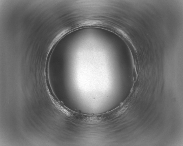 X0000056021330200509092129