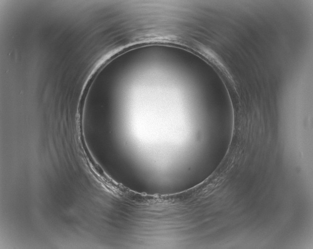 X0000056021332200509092129