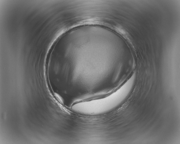 X0000056021334200509092129