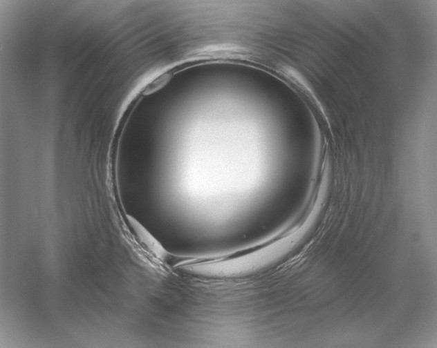 X0000056021336200509092129