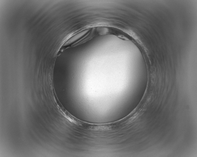 X0000056021337200509092129