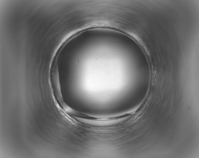 X0000056021342200509092129