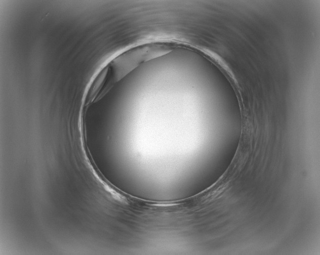 X0000056021343200509092129