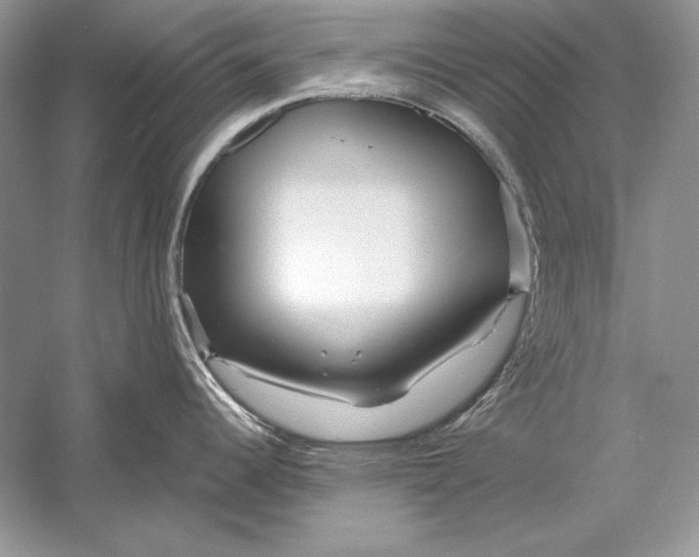 X0000056021344200509092129