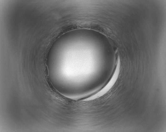 X0000056021345200509092128