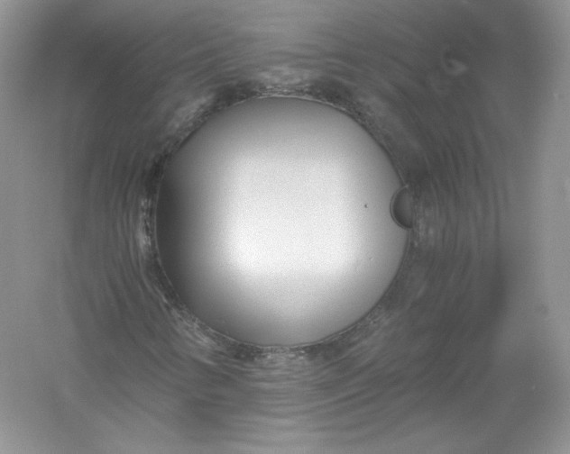 X0000056021346200509092128