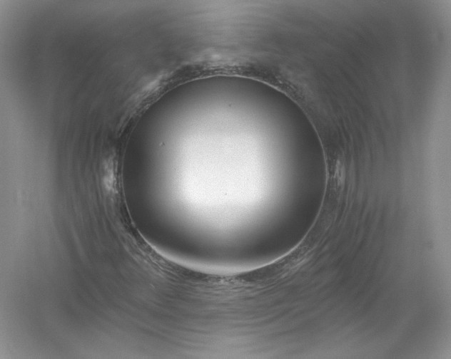 X0000056021348200509092128